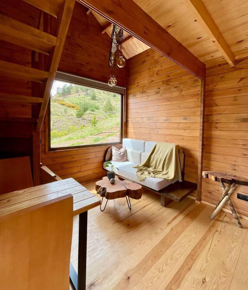 Mountain Eco Shelter 4 Otel Funchal Dış mekan fotoğraf